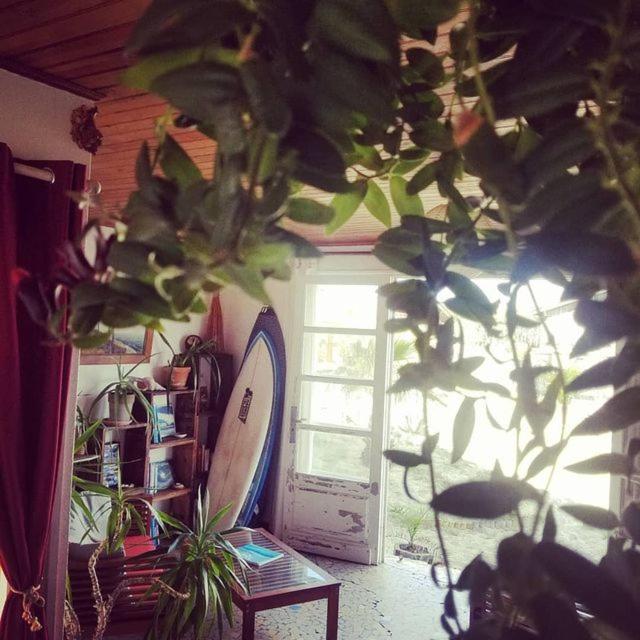Guesthouse Evasion Contis-les-Bains Εξωτερικό φωτογραφία